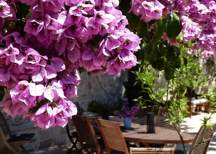 By The Sea Near Dubrovnik *