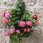 By The Sea Near Dubrovnik * 察夫塔特