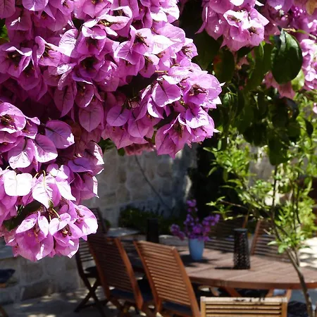 By The Sea Near Dubrovnik *