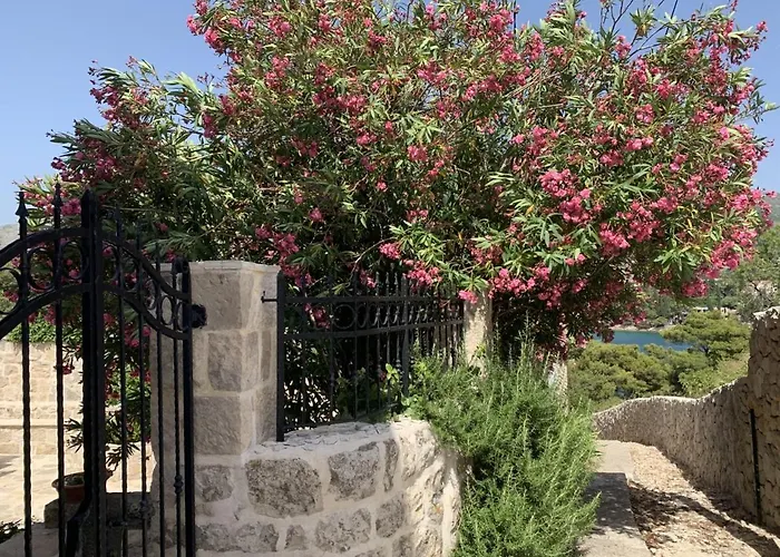 By The Sea Near Dubrovnik Cavtat