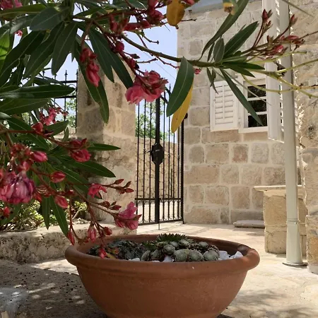 By The Sea Near Dubrovnik * Цавтат