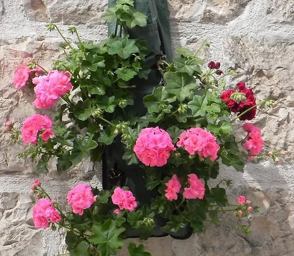 By The Sea Near Dubrovnik * Cavtat